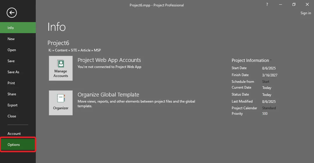 تنظیمات Options در نرم افزار MSProject