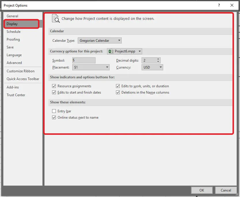 بخش تنظیمات Display از options - تنظیمات نمایش اطلاعات در نرمافزار در MSProject